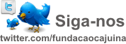 Siga-nos no Twitter